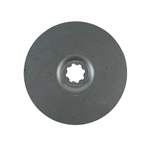 Cnp-11