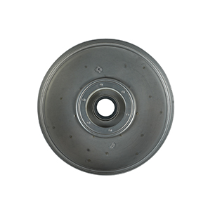 SV5-bearing